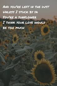 Sunflower By Swae Lee Post Malone Lyrics And You Re Left In The Dust Unless I Stuck By Ya Post Malone Lyrics Post Malone Quotes Post Malone Wallpaper