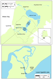 Maybe you would like to learn more about one of these? The Ugashik River Watershed Showing Locations Of Sonar Systems And Download Scientific Diagram