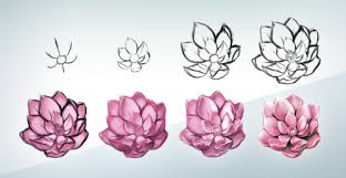 How To Draw Flowers Tumblr Flower Drawing Tutorials Flower Drawing Flower Sketches