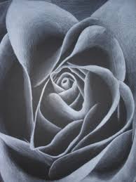 Black And White Pencil Drawings Of Flowers Flower Drawn With A White Colored Pencil On Black Paper Black Paper Black Paper Drawing White Pencil