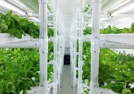 Pop Up Shipping Container Farm Puts A Full Acre Of Lettuce In Your Backyard Backyard Aquaponics Aquaponics Hydroponic Farming