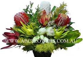 Same day fresh flowers & indoor and outdoor plant delivery in melbourne city. Abc Flowers Fitzroy Melbourne A019 Melbourne Cbd Boxed Flower Arrangement With All Native Flowers Delivery Melbourne Wide