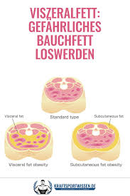 Viszeralfett Gefahrliches Bauchfett Loswerden Bauchfett Loswerden Bauchfett Fett