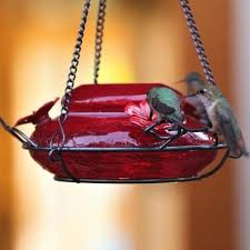 Check spelling or type a new query. Modern Hummingbird Feeder Solid Red Model Mhf4 Glass Hummingbird Feeders Decorative Hanging Baskets Humming Bird Feeders