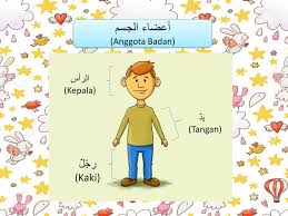 We did not find results for: Kumpulan Bahasa Arab Anggota Tubuh Lengkap Untuk Pemula