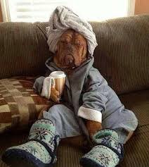 A lot of people need it so badly that they have a hard time functioning well without it. Funny Pictures Of People Drinking Coffee