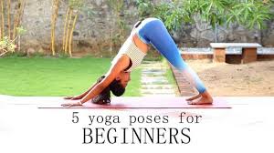 Maybe you would like to learn more about one of these? 5 Yoga Poses For Beginners Youtube