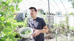 Gardening Expectation Vs Reality Gardening Garden Diy Home Flowers Roses Nature Landscaping Horticulture Lawn Care Expectation Vs Reality Reality