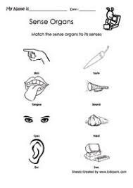 Sense Organ Worksheet Crafts And Worksheets For Preschool Toddler And Kindergarten Five Senses Worksheet Worksheets For Kids Preschool Learning Activities