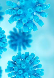 For acute hepatitis, symptoms, if they appear, will occur within several weeks to several months of exposure. Hepatitis B And C In Kidney Transplantation Intechopen