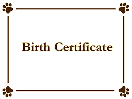 .of fake birth certificate maker as early as possible. Fake Birth Certificate Template Free Word Templates
