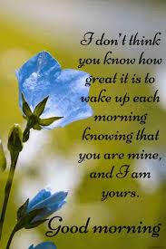 Maybe you would like to learn more about one of these? Good Morning With Flowers And Quotes Facebook Bokkor Quotes