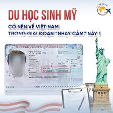 Hình ảnh visa F1 minh họa