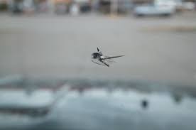 Know which windshield cracks can be repaired or need replacement