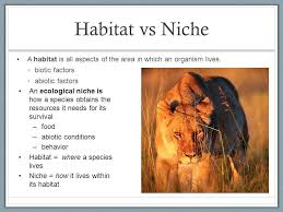 14 1 Key Concept Every Organism Has A Habitat And A Niche Ppt Download Habitats Abiotic Biotic