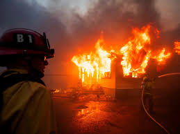 Palisades fire spreads rapidly as winds ...