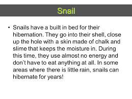 See full list on wowpedia.fandom.com 6 Neat Hibernating Animals What Is Hibernation It Is A State Of Inactivity Or Sleep That Allows Many Animals To Survive Winter Or Seasons That Bring Ppt Download