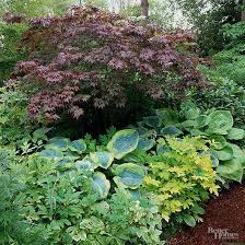 20 Shade Garden Design Ideas That Prove You Can Grow Colorful Plants Anywhere Shade Garden Shade Garden Plants Shade Garden Design