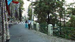 Interesting facts about the camel's back road. Camel Back Road Mussoorie Dehradun Uttarakhand Youtube