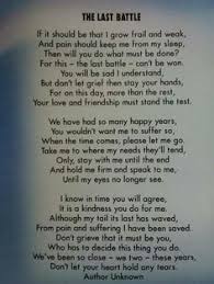 I prayed for joey, and i asked a few friends to say prayers, too. Prayer For Sick Dog Doggies