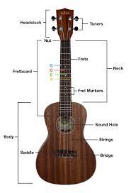 However, there are countless manual coffee machines on the market. Parts Of The Ukulele Get Tuned Com