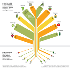 Infographic In 80 Years We Lost 93 Of Variety In Our Food
