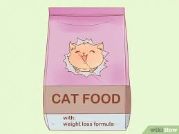 If at any point your cat stops eating, please have. 4 Ways To Put Your Cat On A Diet Wikihow
