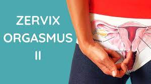 Zervix Orgasmus: So bekommst du ihn - Zervix stimulieren, Zervix Massage &  De-Armouring
