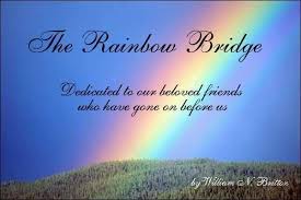 The rainbow bridge is a heaven for animals and where they wait for the day that they can be. Rainbow Bridge In Memory Of Our Pets Home Facebook