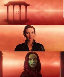 When black widow (scarlett johansson) and hawkeye (jeremy renner) go to voramir, they learn from red skull that here's who came back to life in avengers: Black Widow Meets Gamora In The Soul Stone Avengers Endgame Edit Marvel Superheroes Marvel Memes Marvel