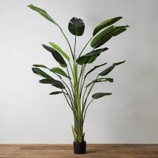 Look for the larger ones in the greenery area of the stores that have stuff for outdoor arrangements and weddings. The Best Affordable Fake Plants For Your Home The Everygirl