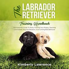 8 weeks or 6 months? The Labrador Retriever Training Handbook By Kimberly Lawrence Audiobook Audible Com