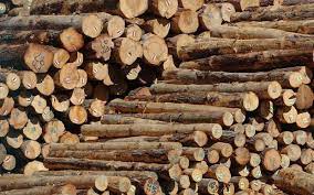 Check spelling or type a new query. Chinese Buyers Avoid Sawmills In The Us To Buy Logs Lumber Market Tightens