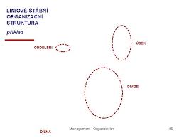 • rozhodovací pravomoci a odpovědnosti: Organizovn Osnova Q Organizace A Trhy Q Organizan