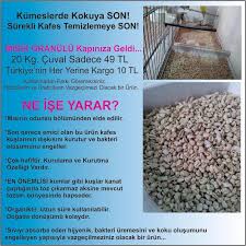 Muhabbet Kusu Hobihanesi Home Facebook