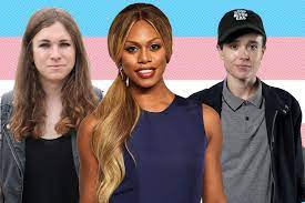 American crime story (2016) as detective lori weider. 28 Transgender Celebrities Who Inspire Hollywood