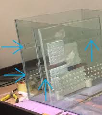 Freshwater Sump Filter What Why And How Expert Aquarist Aquarium Sump Sump Aquarium Stands