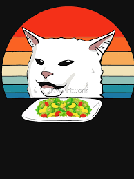 Angry Women Yelling At Confused Cat At Dinner Table Meme Funny Memes T Shirt By Jkwartwork Redbubble Angry Women Meaningful Art Funny Memes