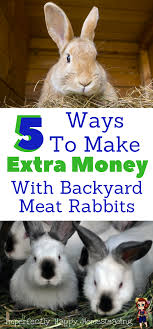 My us family told me that they have trouble finding rabbit meat in the greater detroit area. 5 Ways To Make Extra Money With Backyard Meat Rabbits On Your Homestead Meat Rabbits Rabbit Farm Raising Rabbits For Meat