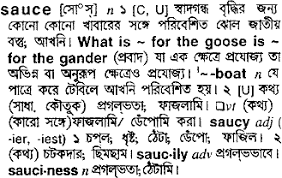 This means i earn a commission if you click on any of them and buy something. Sauce Bengali Meaning Sauce Meaning In Bengali At English Bangla Com Sauce à¦¶à¦¬ à¦¦ à¦° à¦¬ à¦² à¦…à¦° à¦¥