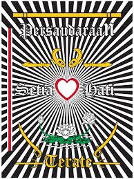 Buat warga psht yuk yang belum subscrabe like komen segera merapat dan terima kasih sudah meluangkan waktunya menonton kalian semua luar biasaa dolorjangan. 41 Populer Logo Hati Bersinar Psht Hd Logo Psht