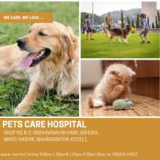 Compare your options and call now. Pets Care Hospital Home Facebook