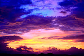 We did not find results for: Sunset Purple Wallpapers Wallpaper Cave