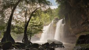 Khao yai is no doubt the best national park in thailand for regular visitors where it is relatively easy to see some impressive animals. Khao Yai National Park Thailand National Park Review Conde Nast Traveler