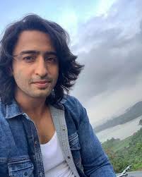 Shaheer sheikh (born 26 march 1984) is an indian actor and model. Shaheer Sheikh Age Height Net Worth Affairs Bio And More 2021 The Personage