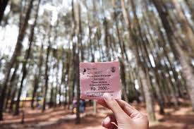 Untuk akses ke sriharjo imogiri wisata ini, pelancong disarankan menggunakan kendaraan pribadi. Wisata Selfie Hutan Pinus Imogiri