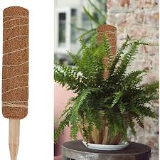 The coir fiber stick will be well fitted for the indoor creepers and plants. 30 45cm Coconut Totem Pole Extendable Moss Stick Coir Totem Pole For Stand Plant Extension Climbing Indoor Plant Shopee Philippines
