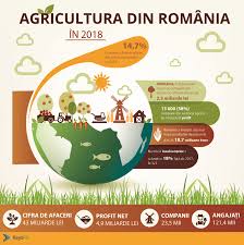Euro / convert euros (eur) to romanian lei (ron). Article