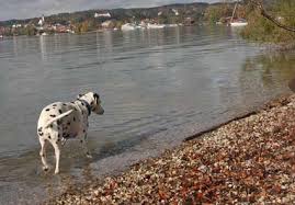Starnberger See Veranstaltungen – Informationen