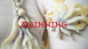 Bildergebnis für Alina Kopytsa